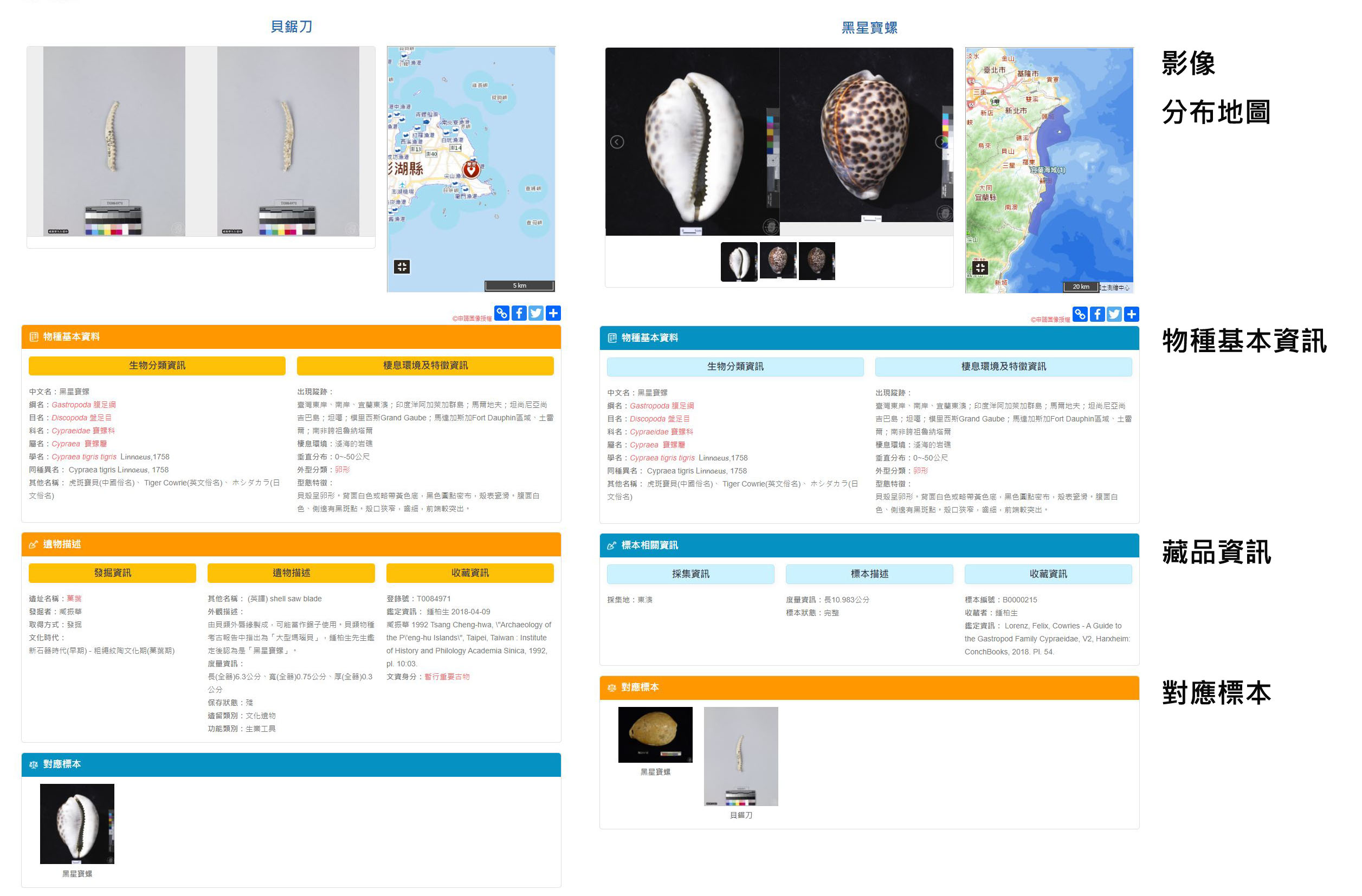 Collectioninfo2